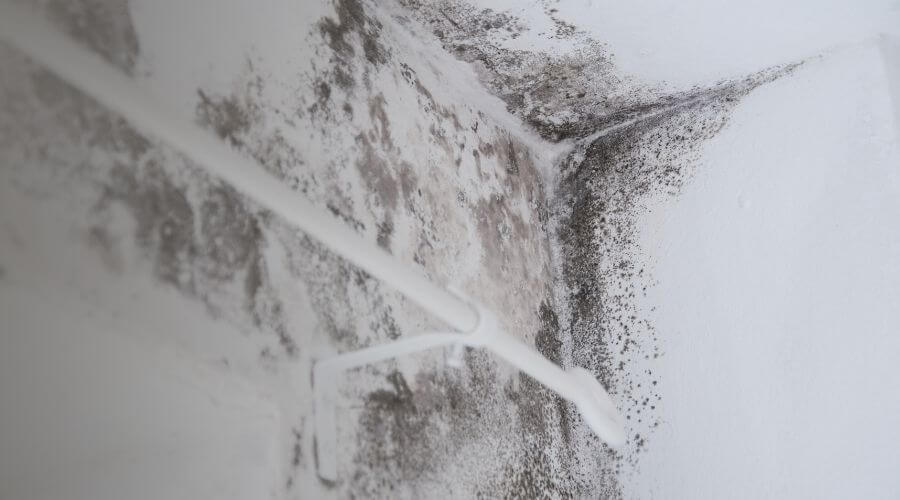 Why choose water damage restoration service for commercial water damage restoration in Pomona